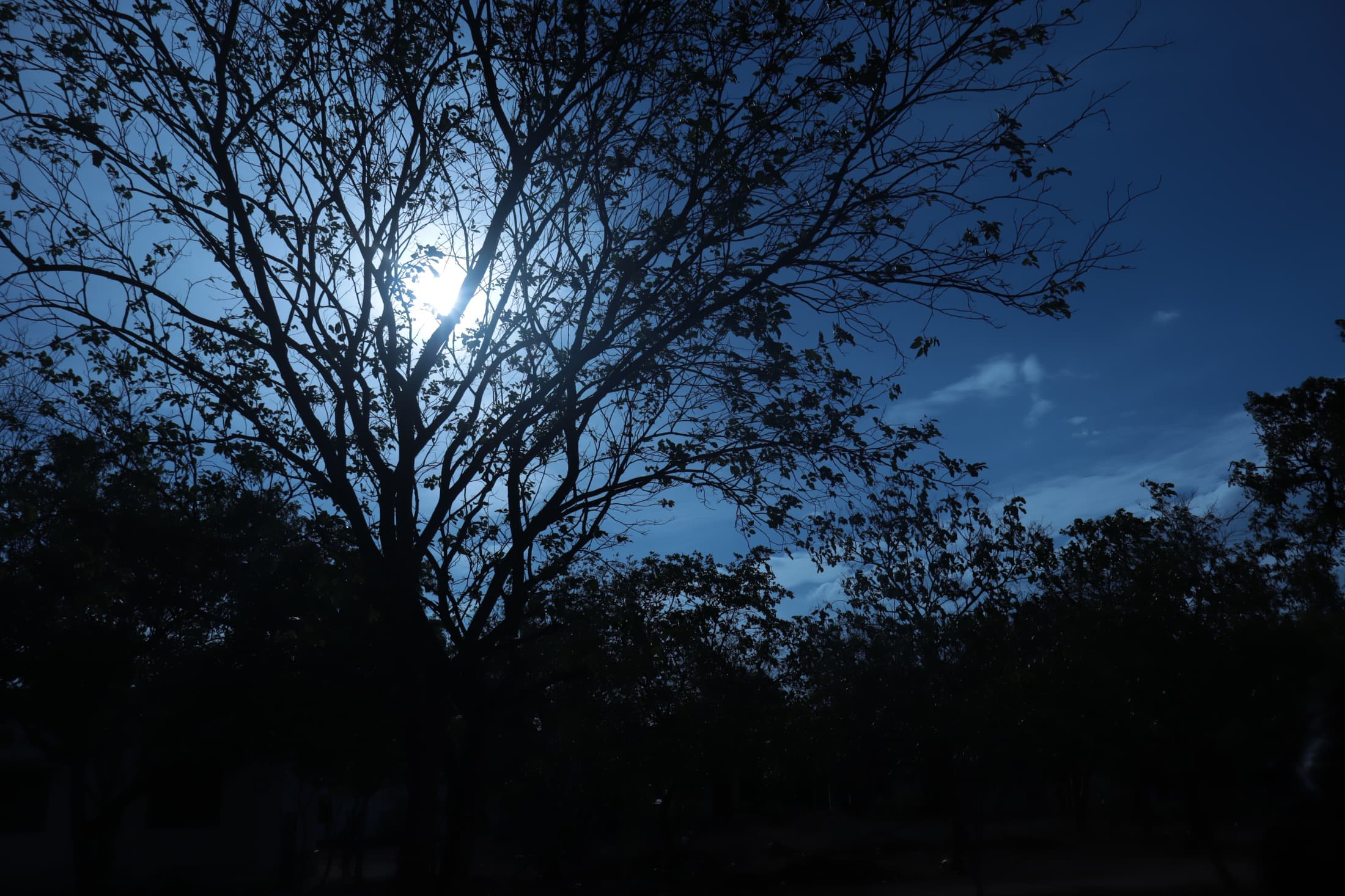 Photograph 6