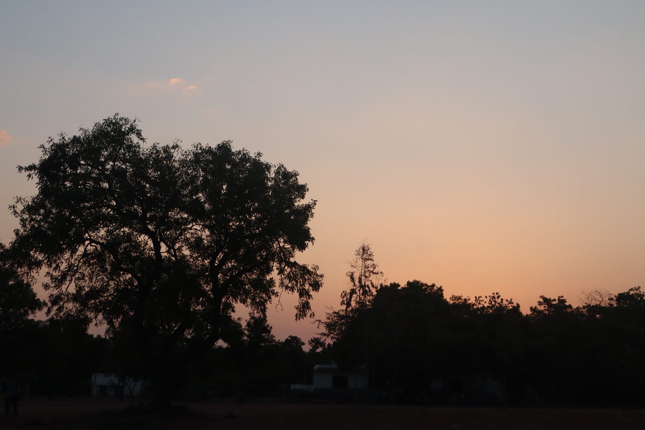 Photograph 8