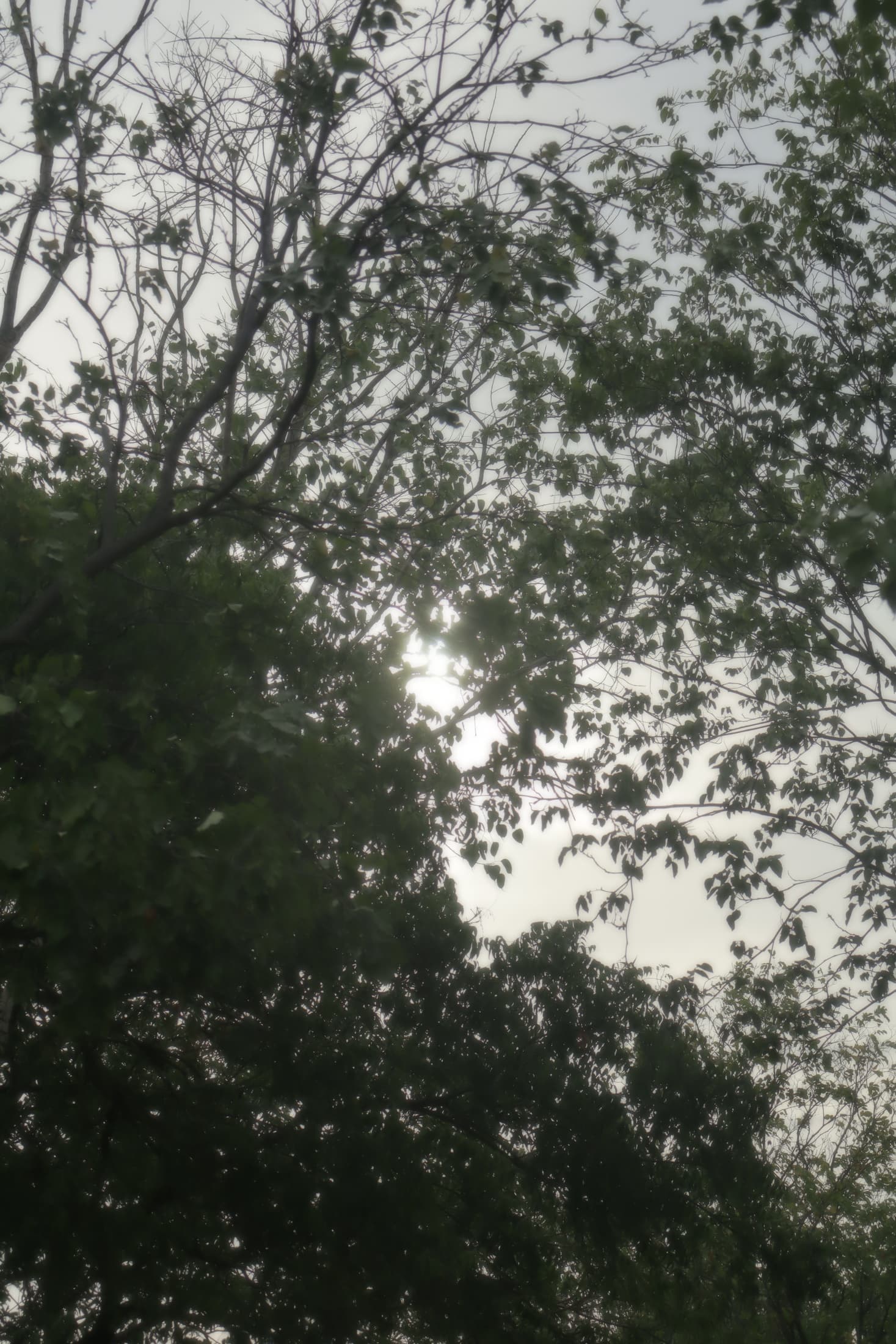 Photograph 1